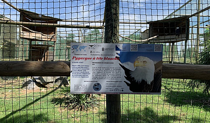 ProNaturA-France : la merveilleuse aventure des ''Aigles du Léman'' de Jacques Olivier TRAVERS 